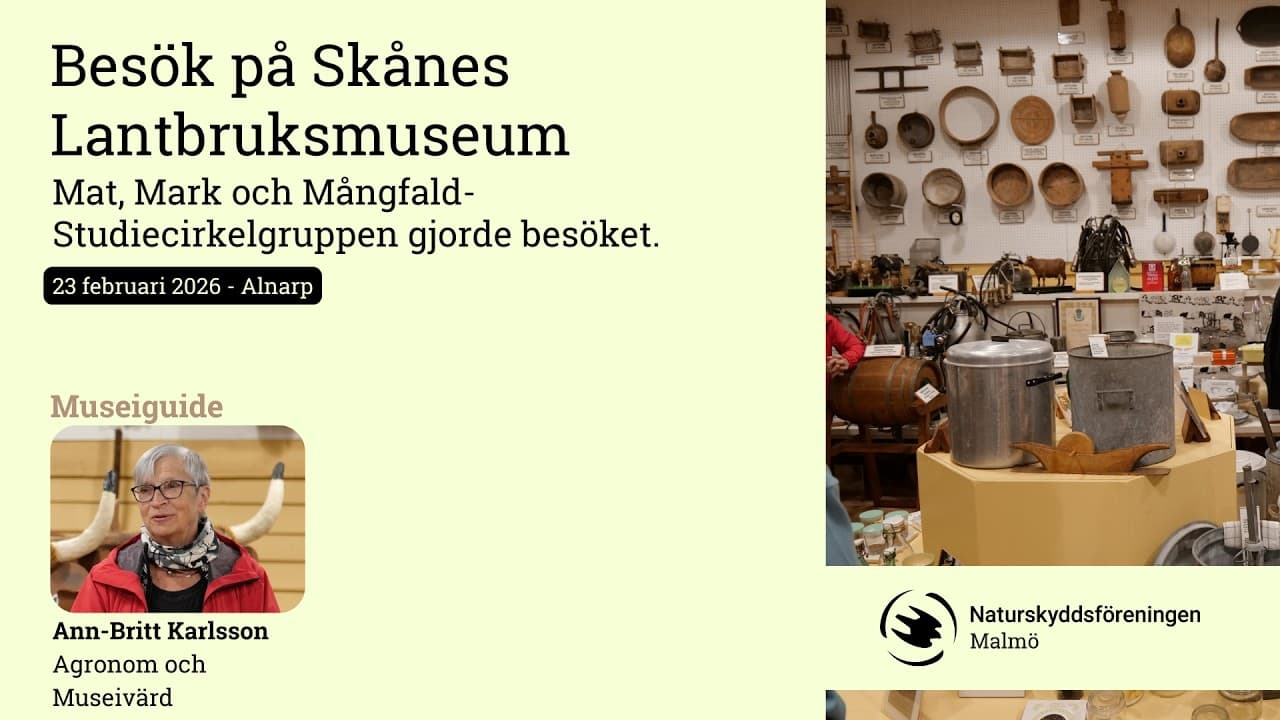 Bild från youtube-video