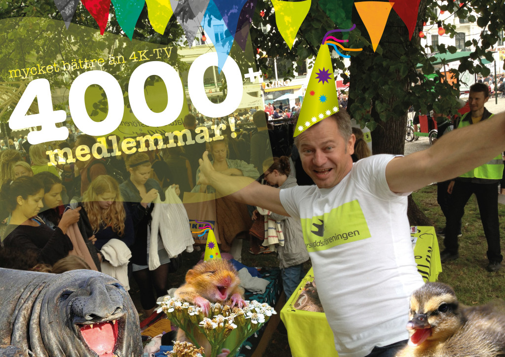 4000 medlemmar 2015 wow v2